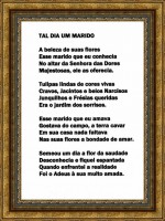 /album/poesia-de-ana-elisa/foto-1626-jpg/