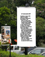 /album/poesia-de-ana-elisa/foto-1644-jpg/